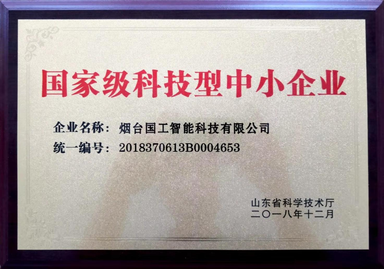 國家級(jí)科技型中小企業(yè)